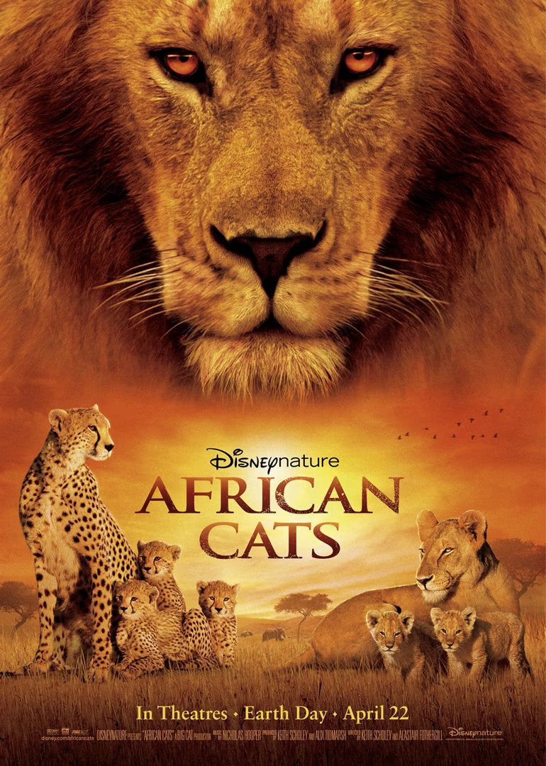 非洲猫科(普通话版)海报封面