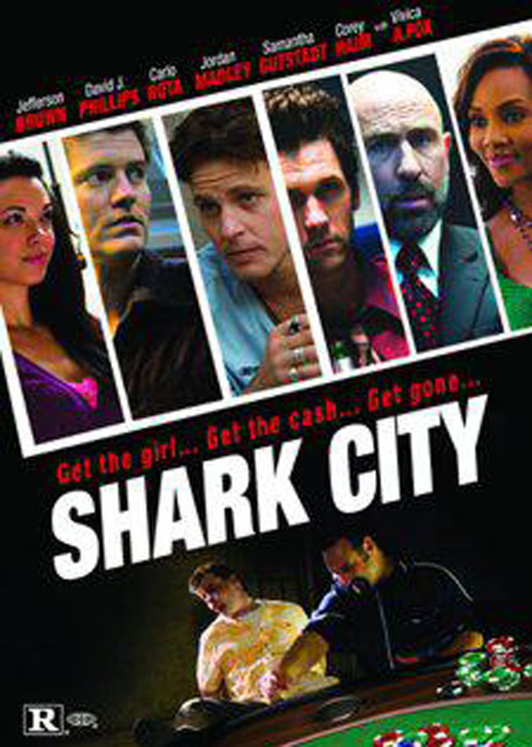 鲨鱼城市海报封面