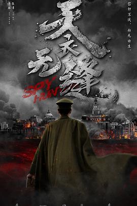李路执导，在2019发行，出品于中国大陆地区，汉语普通话对白，　　《天衣无缝》改编自张勇的小说《贵婉日记》，本作也是继《一触即发》、《伪装者》后“谍战三部曲”的收官之作。故事背景和《伪装者》相同，时间线稍微提前。